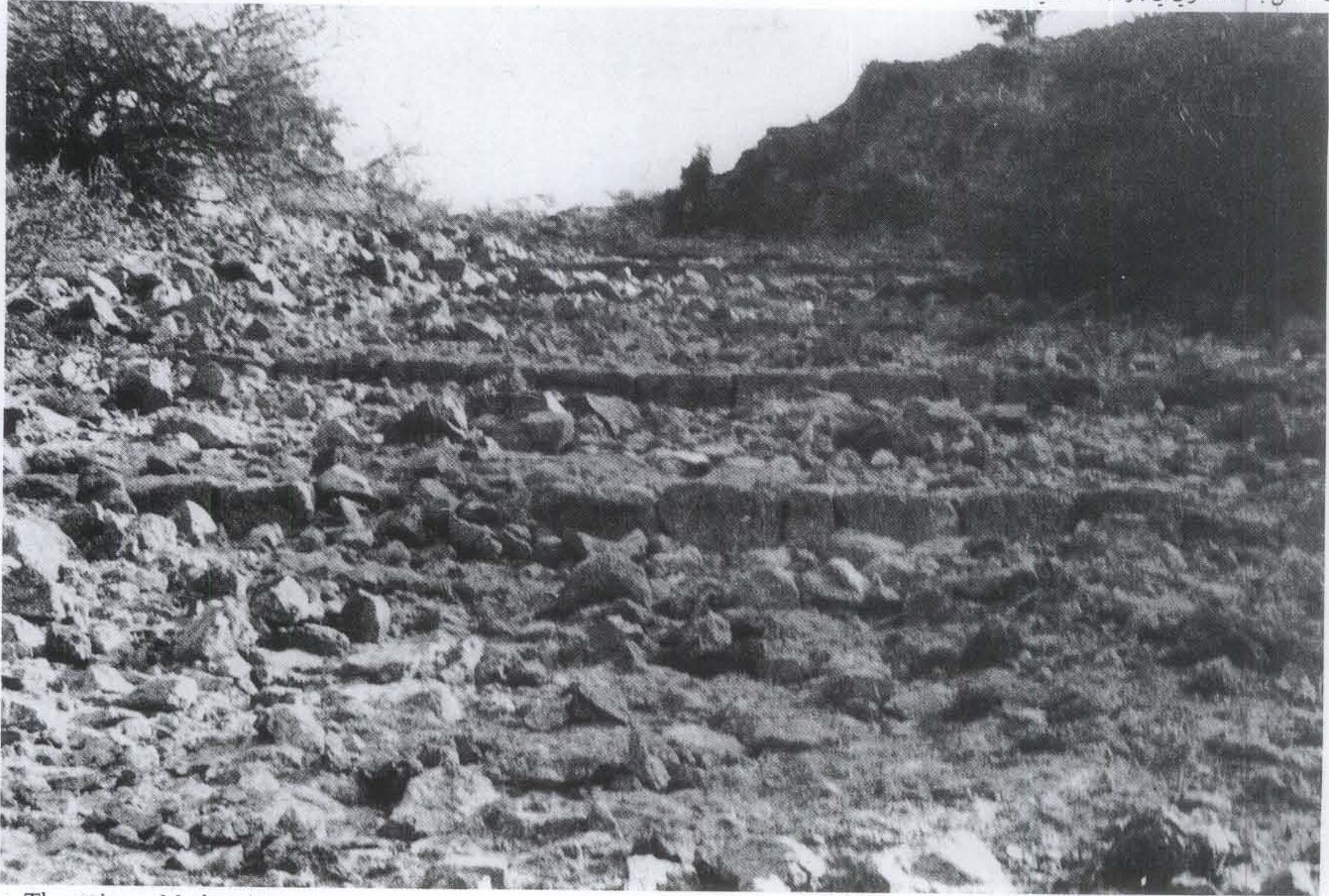 بقايا منشآت على درب زبيدة — صورة أثرية للموقع. ويكيميديا كومنز (Public Domain) · commons.wikimedia.org/wiki/File:%D8%A7%D9%84%D9%85%D8%AF%D8%B1%D8%AC_3,_Darb_Zubayda_04.png